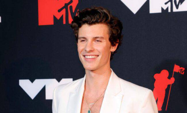 shawn mendes paura