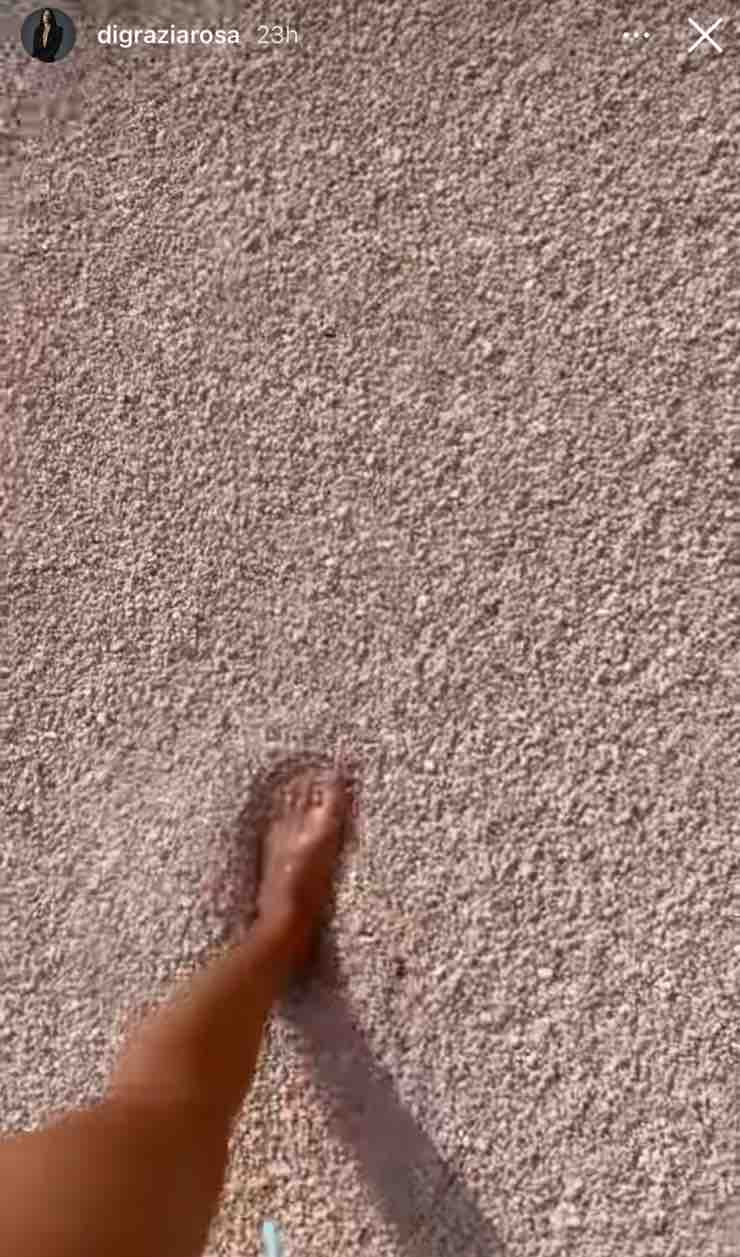 piedi rosa di grazia
